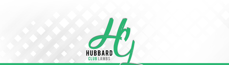 Hubbard Club Lambs